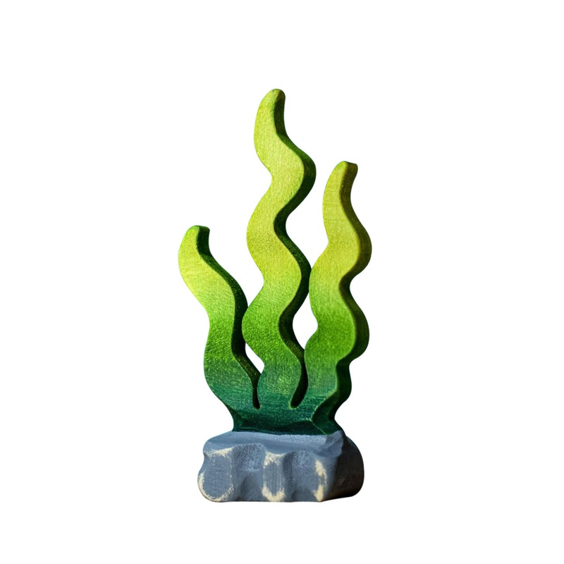 Wooden Seaweed – Sugar Kelp
