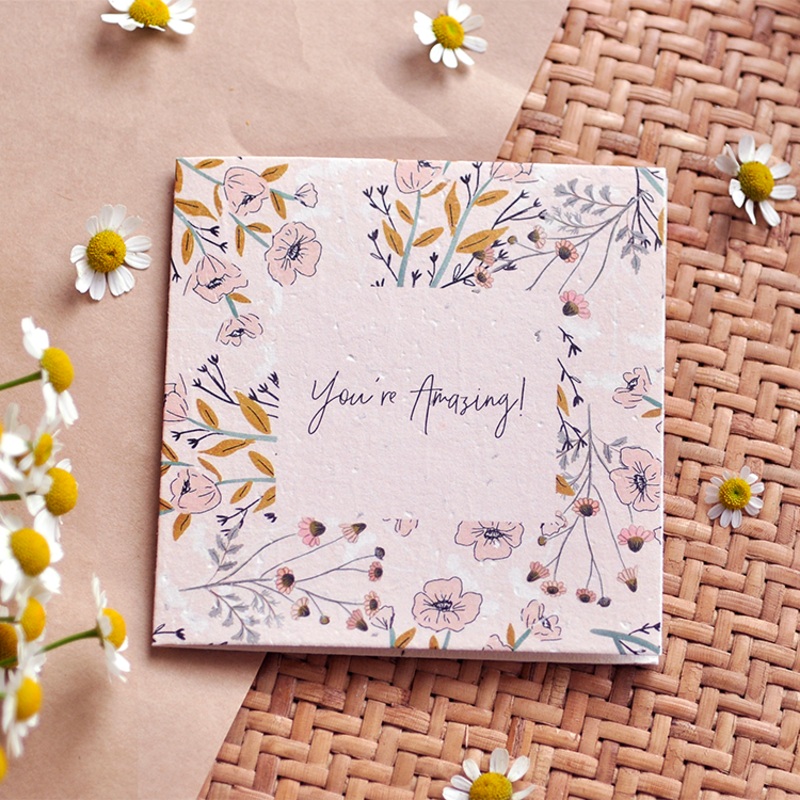 You’re Amazing Plantable Greeting Card