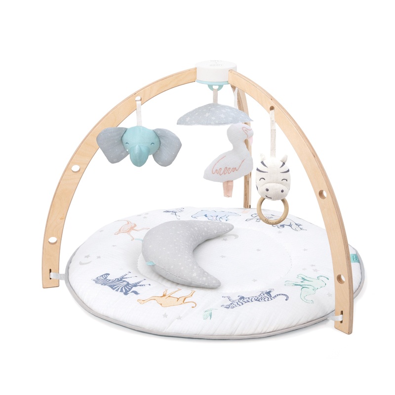 Aden + Anais Play + Discover Activity Gym – Rising Star