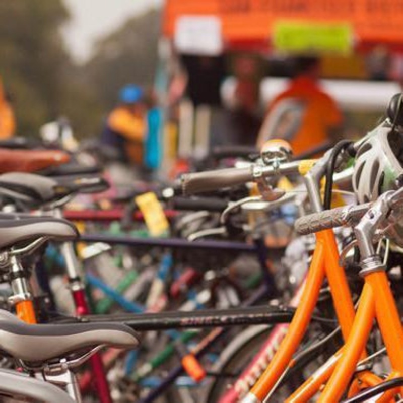 Biking with Children (Crawling Babies to 10 Years): In Person