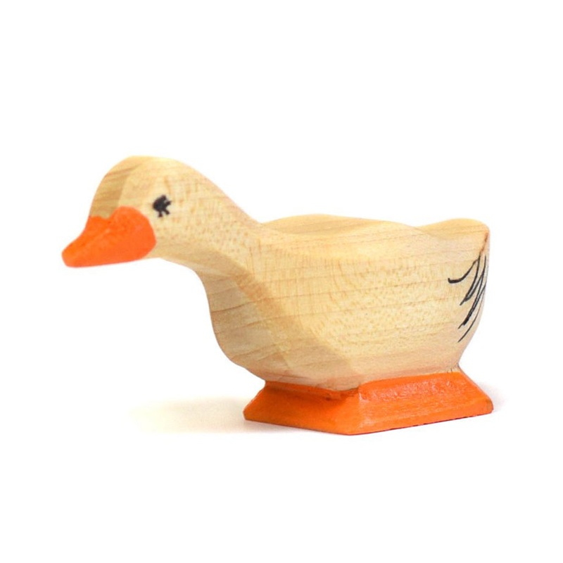 Wooden Duck – Curious