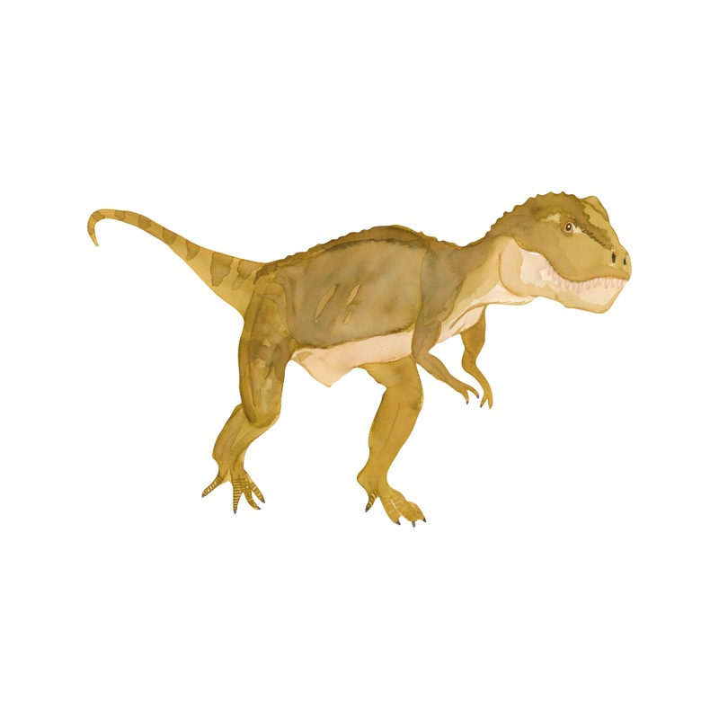 Wall Sticker – T-Rex Dinosaur